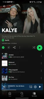 Screenshot_20250103_233438_Spotify.png