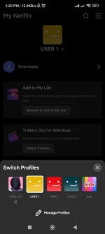 Screenshot_2025-01-04-14-20-36-354_com.netflix.mediaclient.webp