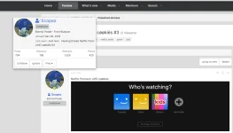 Screenshot 2025-01-06 185559.webp
