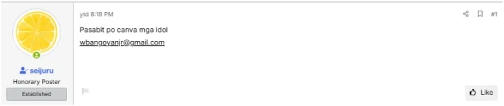 1736172701040.webp 1736172701040.webp