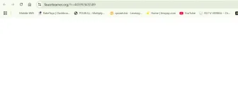 1736217030731.webp