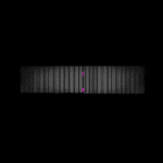 200.gif 200.gif