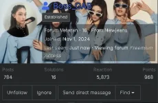 1736347031227.webp