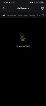 Screenshot_20250109-013720.webp