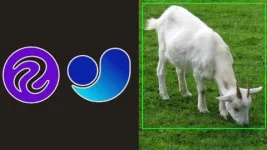 1000060994.webp