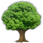 mWqc.webp