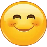 1736513103727.webp