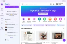 Screenshot_20250110_215953_com.Cαиνα.editor.webp