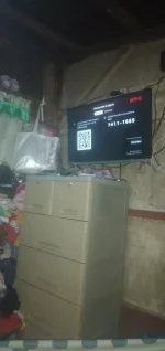 17365271677715654954380336533207.webp