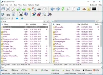 cSjc.webp
