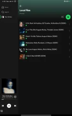 Screenshot_2025-01-12-23-52-26-025_com.spotify.music.webp