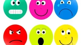 1000061352.webp