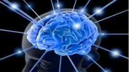 1000061376.webp