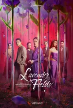Lavender Fields (2024).webp