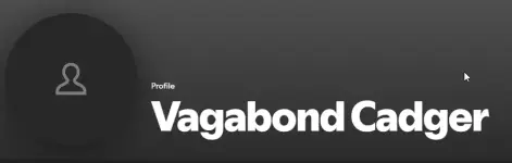 2025-01-19 11_53_17-Spotify – Vagabond Cadger.webp