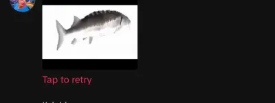 Screenshot_20250120_072054_TikTok.webp