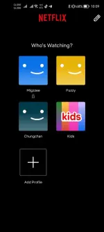 Screenshot_20250120_100908_com.netflix.mediaclient.webp