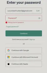 Screenshot 2025-01-20 155438.webp
