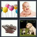1737413505283.webp