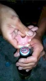 1737465464724.webp