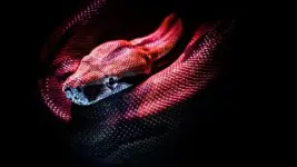 1000062271.webp