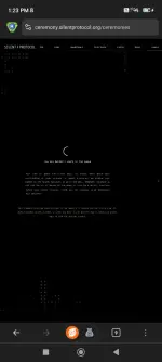 Screenshot_2025-01-23-13-23-54-915_com.herond.android.browser.webp
