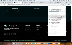 Screen Shot 2025-01-24 at 6.47.35 PM.webp