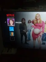 17377243355424447949548695324691.webp