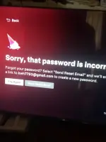 17377840474467318070931867003664.webp