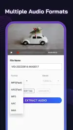 video-to-mp3-converter-5-500x889.webp