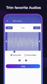 video-to-mp3-converter-7-500x889.webp