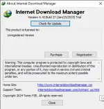 IDM.webp