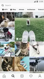 instagram-6-500x890.webp instagram-6-500x890.webp