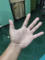 17380693059444520034087018128482.webp