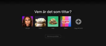 1738111885954.webp