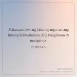 1738195264906.webp