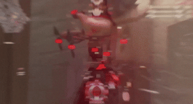 giphy.gif