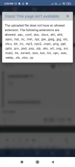 Screenshot_2025-02-01-14-29-11-324_com.android.chrome.webp