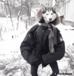 200.gif