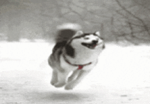 200.gif