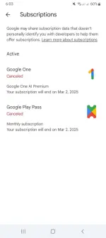 Screenshot_20250202-180317_Google Play Store.webp