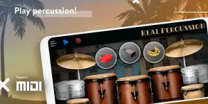 real-percussion-cumbia-kit-2.webp real-percussion-cumbia-kit-2.webp