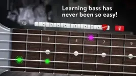 real-basselectric-bass-guitar-7-500x281.webp real-basselectric-bass-guitar-7-500x281.webp