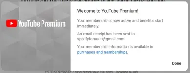 yt449.webp