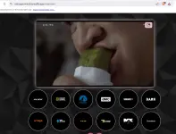 1738864051958.webp