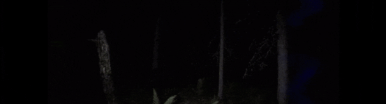 lightningth.gif
