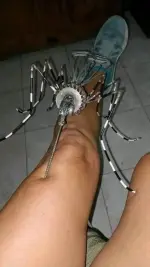 1738934622026.webp