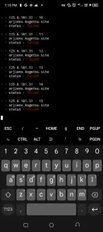 Screenshot_20250208-131534.webp