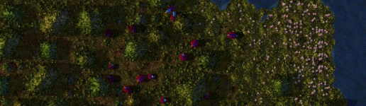 Birds.gif Birds.gif