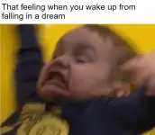dream falling.webp
